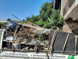 Best Shed Removal  in Ottumwa, IA